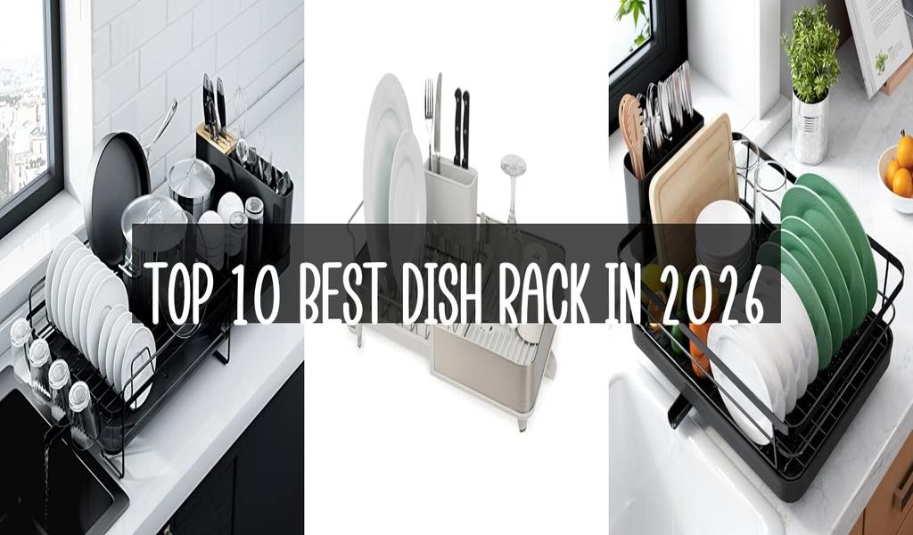Top 10 Best Dish Rack in 2026