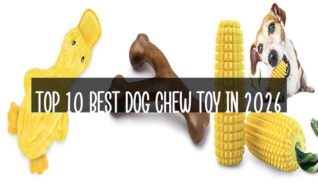 Top 10 Best Dog Chew Toy in 2026